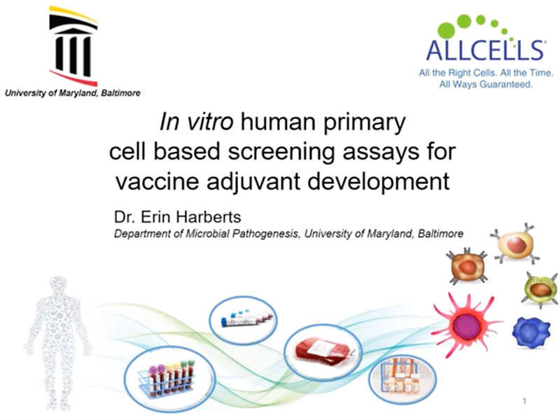 In vitro human primary cell based screening assays for vaccine adjuvant development