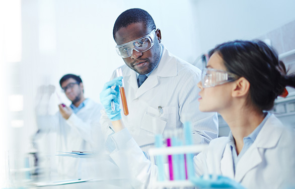 Fresh or Cryopreserved Cells