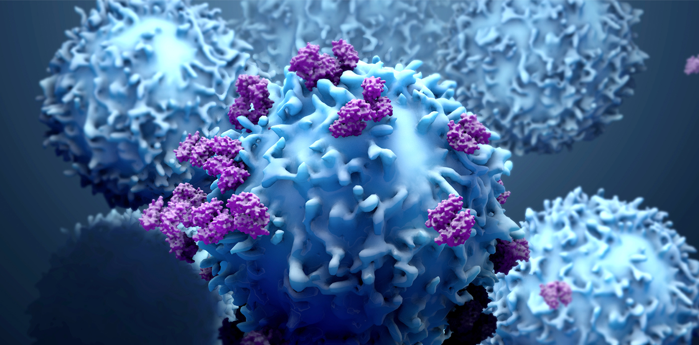 CD14+ monocytes leukocytes white blood cells