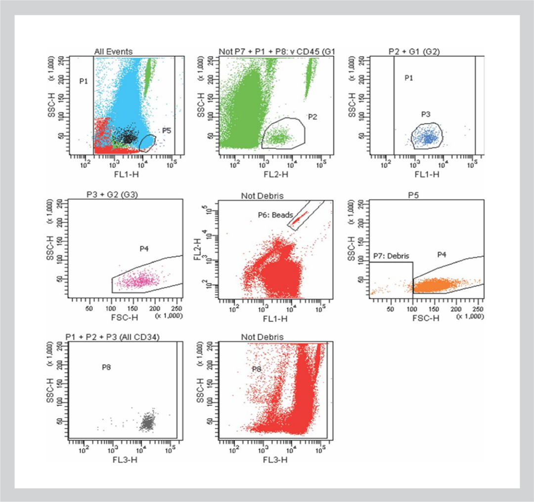 flow cytometry dot plots with sequential gating strategy for quantification of CD34+ content