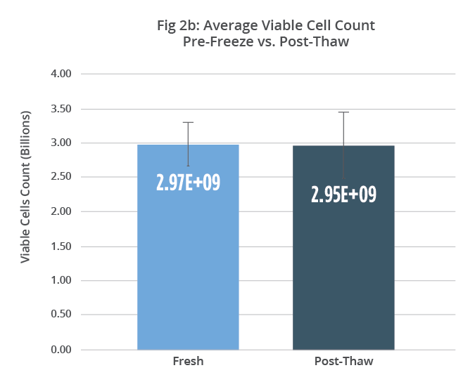 AllCells cryopreserved cell count pre-freeze and post-thaw